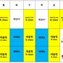 케이레슬링 MMA체육관 이미지