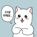 우치3소교량 | [화순 맛집][화순 핫플] 지유명차 화순점에서 오롯이 나를 위한 시간 갖기
