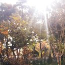 하랑숲유치원 이미지