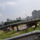 송산야구장 티스토리