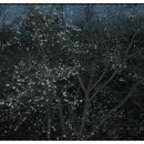 산새랑 게스트하우스 이미지