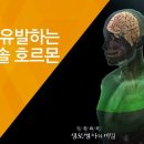 팩트짐 이미지