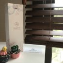 에스앤지허브 | [죠애나] 타트 체리즙 주스 원액 한병에 400개가 들어간 죠애나 체리 원액 프리미엄 65Brix