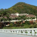 서부초교 이미지