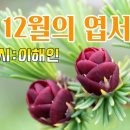 12월의 엽서 - 이해인 - 이미지