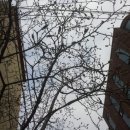 새싹공인중개사사무소 이미지