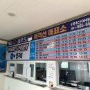 주말 작도 다이빙 이미지