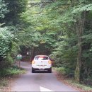 서귀포자연휴양림1 이미지