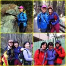 부산 금정산 둘레길(동래 금강공원 → 남산동 금샘초교)를 걷다.