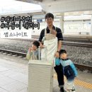 럭스짐 | 쌤소나이트 신상:: 패밀리 캐리어 다둥이 가족 캐리어 추천 파라럭스 28인치 솔직후기!