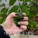 엘디네일 | 대구 달서구 성당동 네일 꼼꼼한 네일테라스