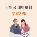 2504 | 무료공익보험 무배당 우체국대한민국엄마보험 2504 IN 가입 후기