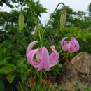 장수덕유산 이미지