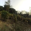 좋은땅부동산공인중개사사무소 이미지