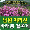 2017. 5월 제150차 정기산행(지리산 바래봉) 안내 이미지