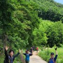 강촌스카이 이미지