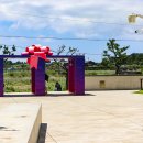 제주더와이 이미지