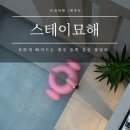 스테이묘해 네이버블로그