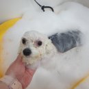 뚜뚜네 미용실 이미지