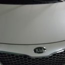 연막법인 이미지