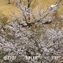 J.S 엔터테이너먼트 | 4월의 거짓말 ｜마곡·여의도·해방촌 이것저것 잘먹고 잘다닌 일상