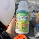 대유농장 이미지