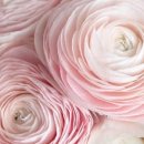 희망화원 이미지