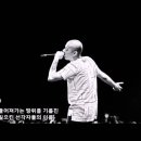 이그니토 Daum카페