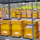 만지농장 이미지