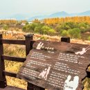 다산문화공원 농구장
