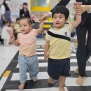 🚦교통안전교육🚦 이미지