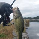 어류정낚시터 이미지