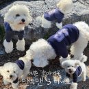 M앤S메디칼 | 강아지옷 강아지외출복 루지앤 스트롱 S 맨투맨
