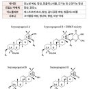 유산균발효대두분말 이미지