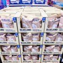 블루랜드 이미지