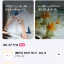 [퇴근길]일상에서 나를 챙기기 (싱잉볼 명상) | [명상어플 추천 ! 4가지 비교분석 &amp; 사용후기]_앱으로 집에서도 명상가능!
