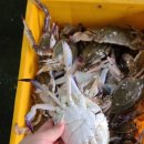 대일수산 이미지