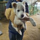 방곡마을회관 이미지