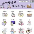 토모 - 관악구 관악로15길 24 | 토모