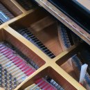 현 피아노 교습소 이미지