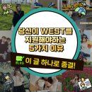 [WEST 서포터즈] 당신이 WEST에 지원해야 하는 5가지 이유/ WEST 프로그램을 소개합니다!