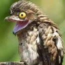 경성여인숙 이미지