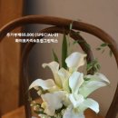 끌레르빌라
