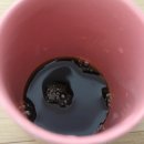 빈스 컴퍼니 이미지