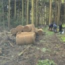 유실목장 이미지