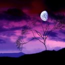 가람레코드 이미지