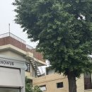 갤러리식당101식당 이미지