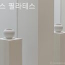 이네스필라테스