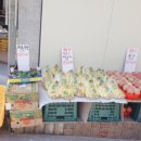 삼촌네 과일야채 이미지