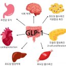 웰니스스포츠 이미지